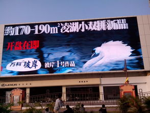 深圳香蜜湖日亞戶外LED顯示屏 220平方米的視覺巨幕引領(lǐng)城市新風(fēng)尚